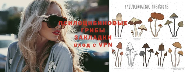 прущие крисы Алексин